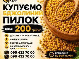 Зображення для оголошення Купуємо бджолиний пилок