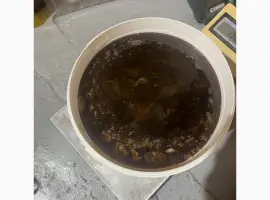 Продам гречаний мед