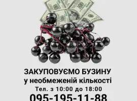 Зображення для оголошення Закуповуемо бузину у необмежений кількості