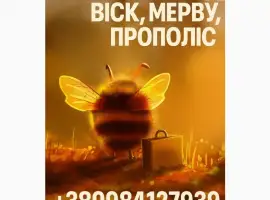 Зображення для оголошення Купуємо мед