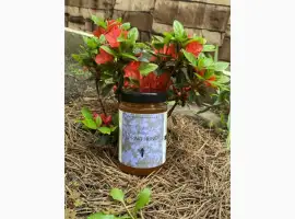 Зображення для оголошення Продам весняно-літній мед