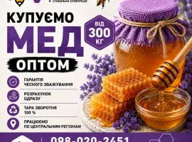 Зображення для оголошення Купуємо мед соняшниковий. Чесна вага! ОПТ-МЕД
