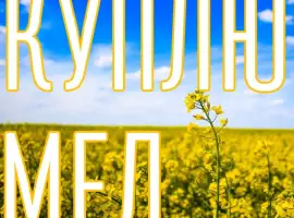Зображення для оголошення КУПЛЮ МЕД в Миколаївській області