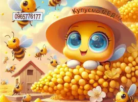 Зображення для оголошення Закуповуємо мед