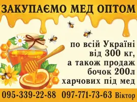 Зображення для оголошення Закупляємо мед оптом по Львівській області