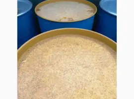 Зображення для оголошення Продам мед