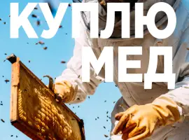 Зображення для оголошення КУПЛЮ МЕД в Черкаській області