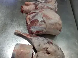 Зображення для оголошення Свіже м'ясо молочного козеня, баранина