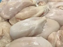Зображення для оголошення Філе куряче охолоджене