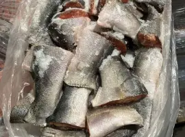 Зображення для оголошення Лосось хребет свіжо морожена тільки ОПТ