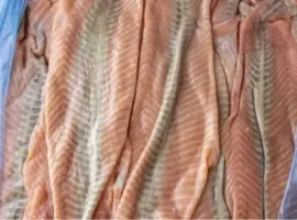 Зображення для оголошення Мясо лосося свіжоморожене