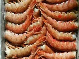 Зображення для оголошення Лангустини, креветки , мідіі, кальмар