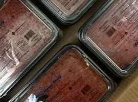 Зображення для оголошення Красная икра Горбуша Америка