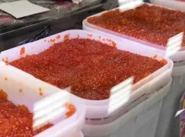 Зображення для оголошення Красная икра горбуша лосось натуральная 1сорт