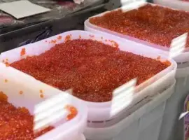 Зображення для оголошення Красная икра горбуша лосось натуральная 1сорт
