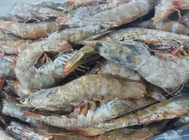 Зображення для оголошення Креветка Ваннамей 70\80, с\м, з гол, в панцирі