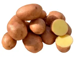 Зображення для оголошення Насіннєва картопля Мирослава (1 репродукція)