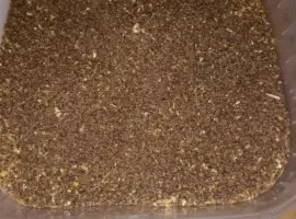 Зображення для оголошення Продам сімена табака