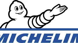 Зображення для оголошення Шина 460/70R24 Michelin BIBLOAD H/S (159A8/B