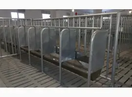Зображення для оголошення Боксы для содержания свиноматок