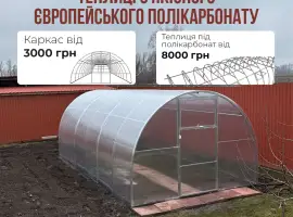 Зображення для оголошення Теплиця для тих