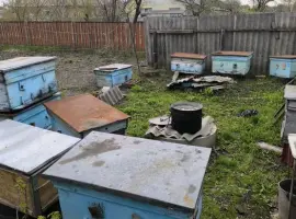 Зображення для оголошення Продам вулики-лежаки (13 шт.), б/в
