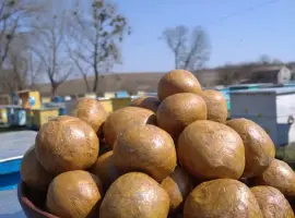 Зображення для оголошення Продам прополіс