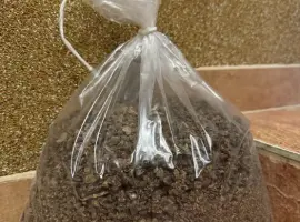 Зображення для оголошення Продам прополіс бджолиний