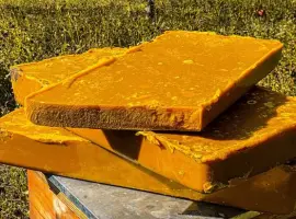 Зображення для оголошення Віск\воск мерв'яний власного виробництва