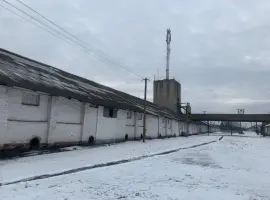 Зображення для оголошення Продается элеваторный комплекс. Цена договорная