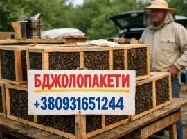 Зображення для оголошення Продам бджолопакети. Карніка. 100 шт+