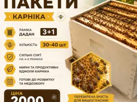Зображення для оголошення Продам бджолопакети Карніка