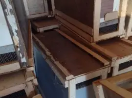 Зображення для оголошення Ящики для бджолопакетів (Дадан, Рута).
