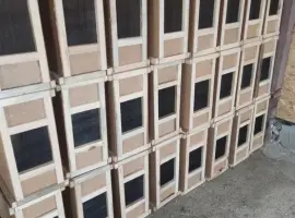 Зображення для оголошення Ящики для бджолопакетів