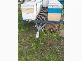 Зображення для оголошення Продам причеп-платформу з бджолосім'ями