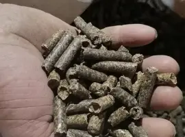 Зображення для оголошення Жом сухий гранульований буряковий 20 кг