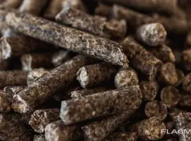 Зображення для оголошення Буряковий гранульований жом