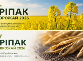Зображення для оголошення Продаж майбутнього врожаю ріпаку
