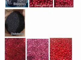 Зображення для оголошення ROKYTNE BERRY