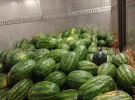 Зображення для оголошення Продам кавун з поля