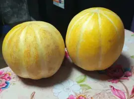 Зображення для оголошення Семена Дыни на вес