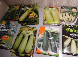 Зображення для оголошення Продам семена кабачков и огурцов