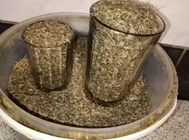Зображення для оголошення Насіння кропу - 200 грамовий стакан