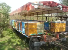 Продам прицеп критий