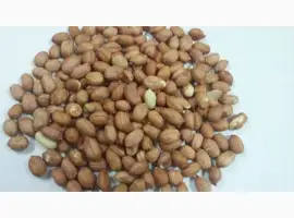 Зображення для оголошення Продам крупным оптом: морепродукты