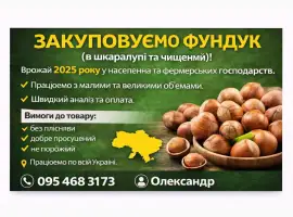 Зображення для оголошення Закуповуємо фундук (в шкаралупі та чищений)