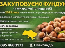 Зображення для оголошення Купуємо фундук (в шкаралупі та чищений)