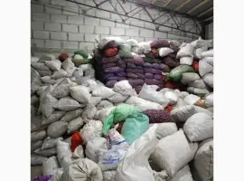 Зображення для оголошення Продам горіх цілий