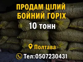 Зображення для оголошення Продам бойний горіх