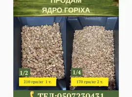 Зображення для оголошення Продам ядро горіха 1/2 та 1/4